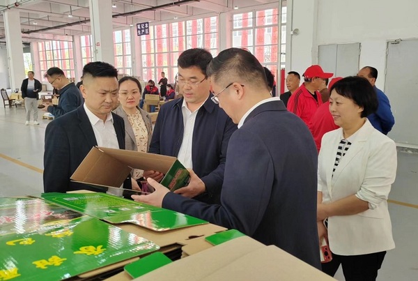 市委常委区委书记宋立敏 等领导 调研安徽鑫强印刷科技公司